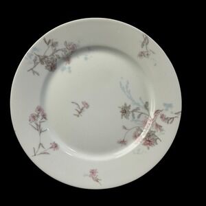 Haviland & Co Limoges Schleiger 678A Style Salad Coupe Plates Set of 2